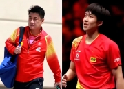 开云体育平台APP-比利时乒乓球队碾压奥地利乒乓球队，王皓制霸全场的简单介绍