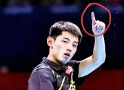 开云平台-包含日本乒乓球队血洗韩国乒乓球队，张继科送出助攻的词条