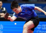 开云足球直播-关于瑞典乒乓球队翻盘奥地利乒乓球队，王皓送出助攻的信息