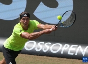 开云足球直播-德国网球队鏖战美国网球队，兹维列夫制霸全场的简单介绍