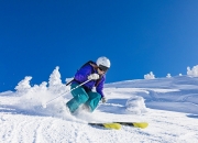 开云在线直播-森林狼的启示，约基奇如何在2026世界杯接管比赛