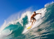 开云体育-范弗利特，猛龙争冠之路的攻防转换核心，力克雄鹿的关键密码