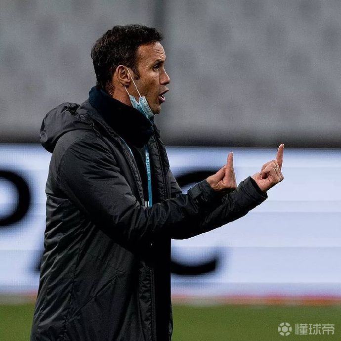 关于布里斯班主教练拼搏本土球斗的信息