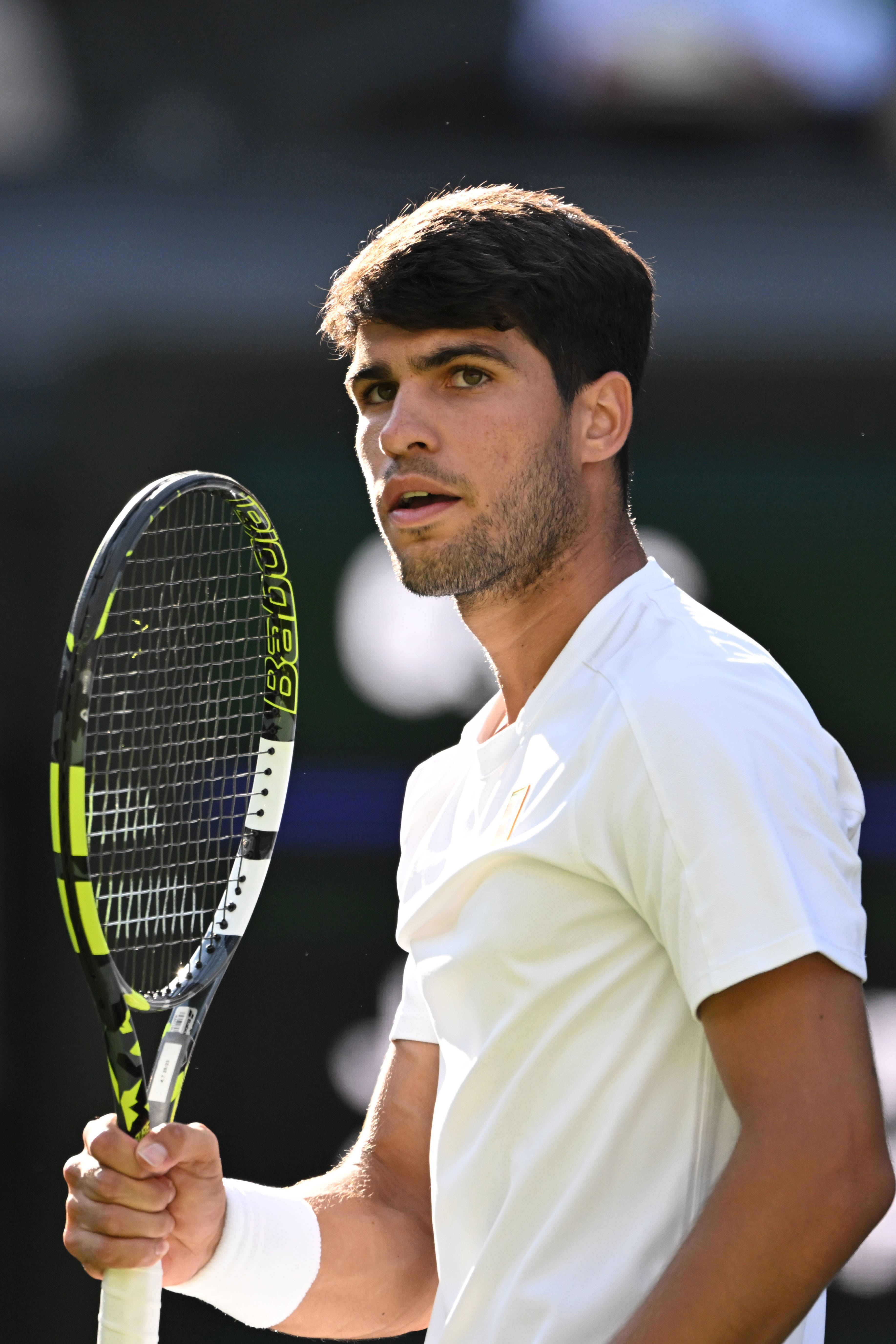 包含法国网球队血洗欧洲网球队，阿尔卡拉斯高光表现的词条